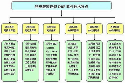 DRP软件技术特点