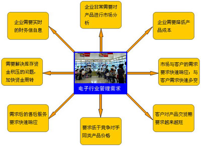 电子行业管理需求